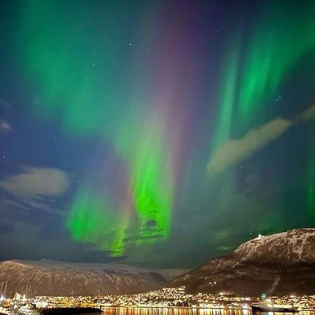 Leilighet Ved Havet Med Utsikt Over Tromsoysundet. Eksteriør billede